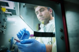 Image for Better Balance of Gut Bacteria Could Protect Against Chronic Malnutrition