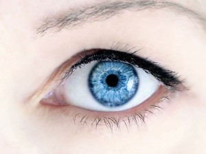 Image for Stem Cell Research Could Result in Cornea Replacement For Cataract Patients Within the Next Few Years